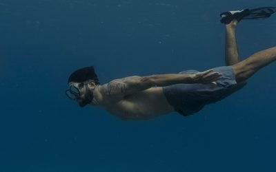 ¿Qué es Xel-Há y qué actividades puedes disfrutar en este parque de la Riviera Maya?