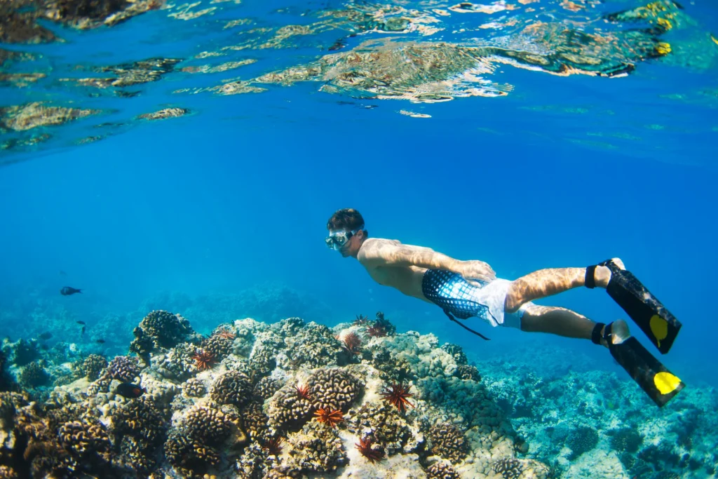 snorkel Punta Cana