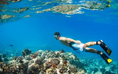 ¿Dónde hacer snorkel en Punta Cana?