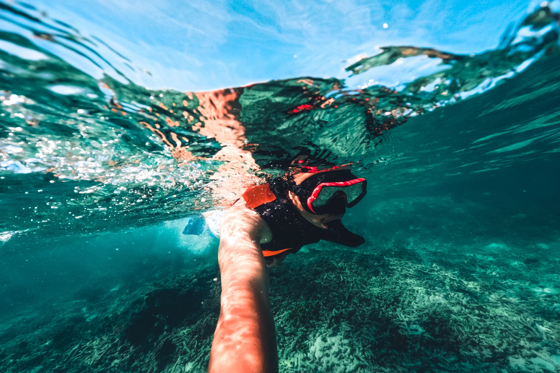 Snorkel Riviera Maya