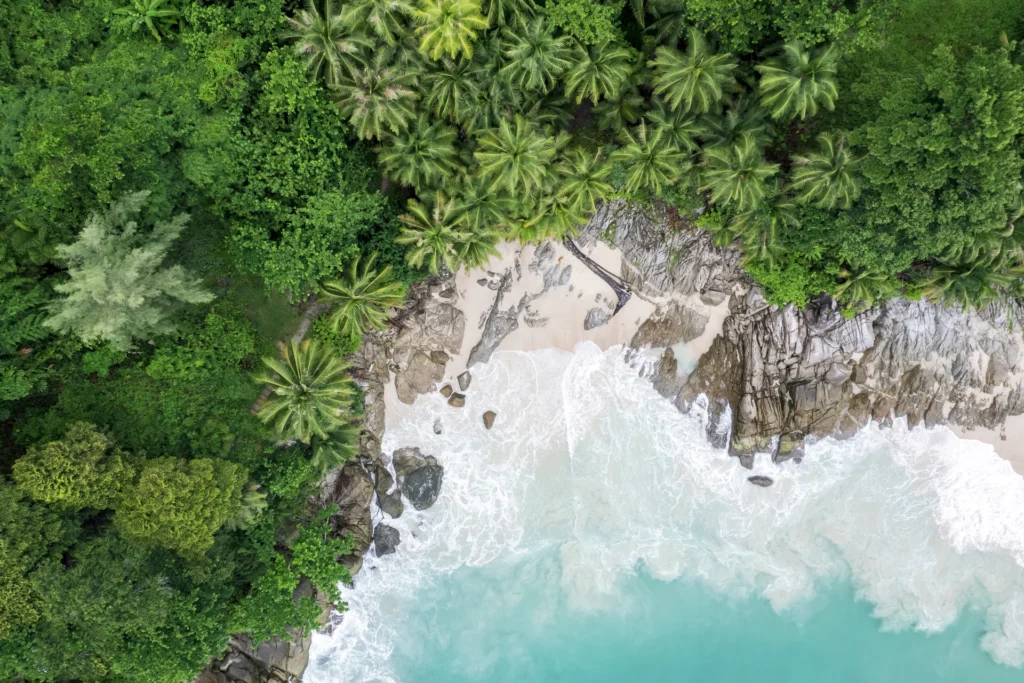 isla tropical