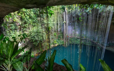 ¿Dónde se pueden ver los cenotes en Punta Cana?