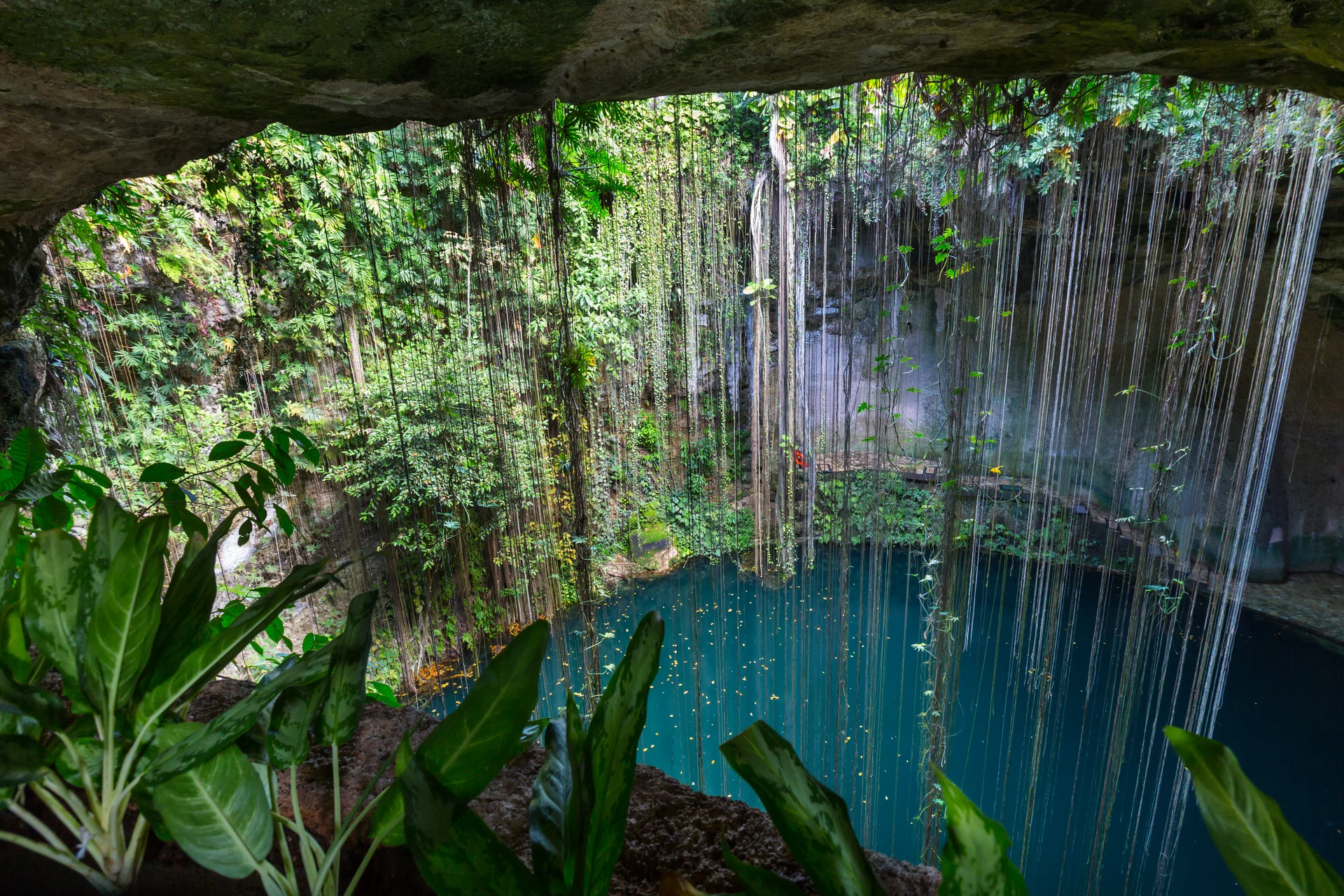 Cenote Punta Cana