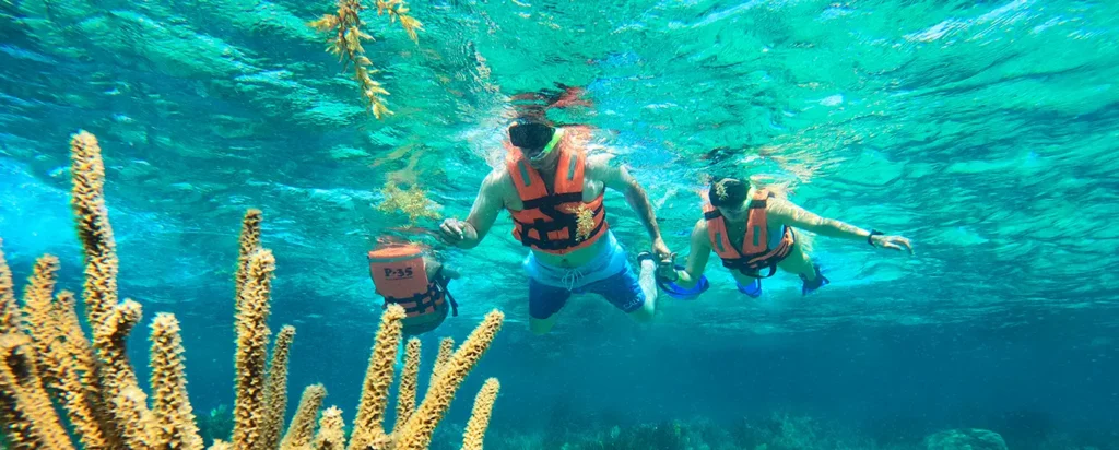 Snorkel