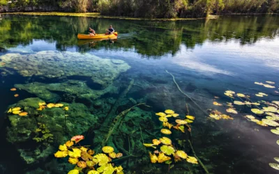 Todo lo que necesitas saber para visitar el Parque Tankah en Riviera Maya