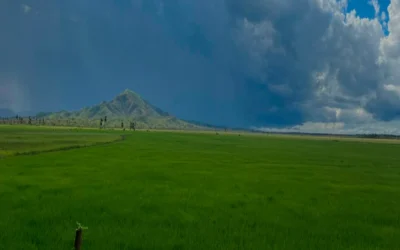 Guía actualizada de Montaña Redonda (2025): todo lo que debes saber antes de tu viaje a Punta Cana