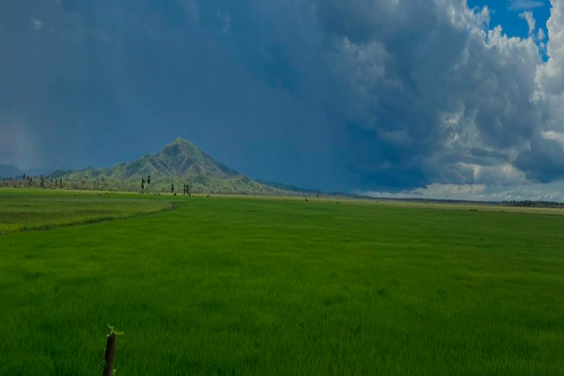 Montaña redonda