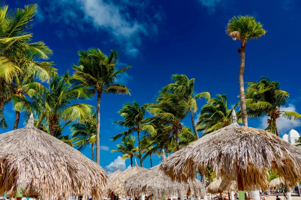 Palmeras con cielos azules y sombrillas en el Caribe