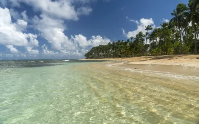 ¿Qué ver en Samaná? Guía completa de qué hacer en la península más salvaje de la República Dominicana