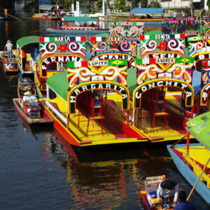 Xochimilco and Coyoacรกn Tour: Trajineras and Food Route